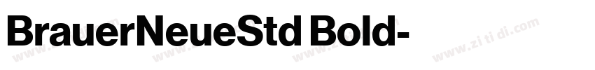 BrauerNeueStd Bold字体转换